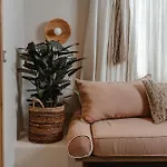 Apartment Chic Elysium